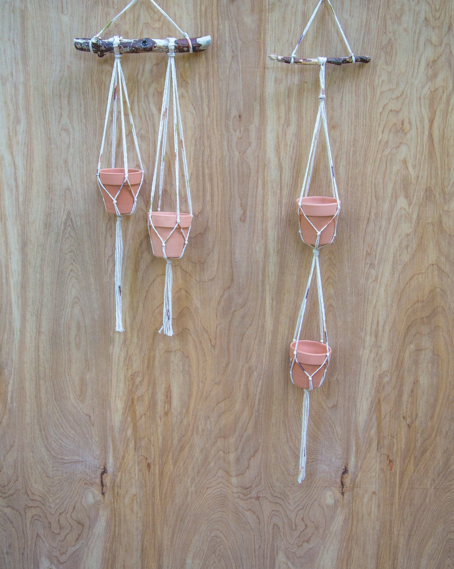 Tiny Double Plant or Succulent Hanger