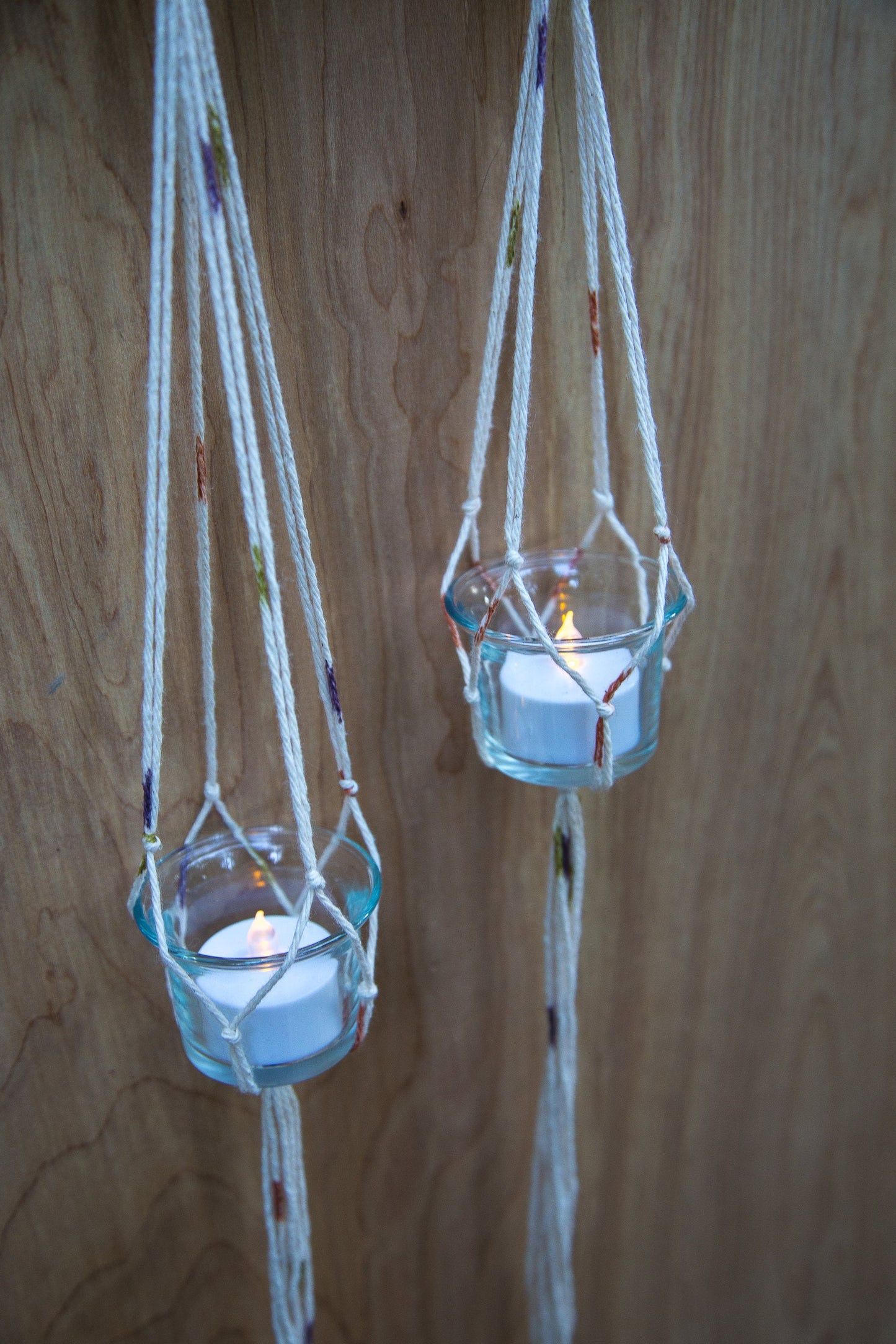 Tiny Double Plant or Succulent Hanger