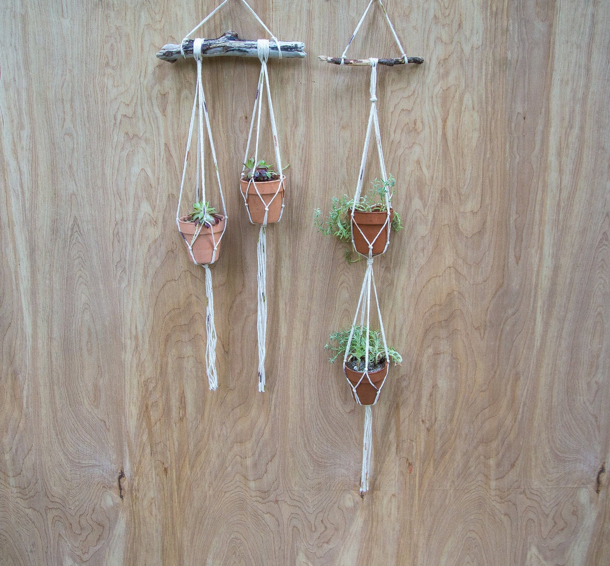 Tiny Double Plant Hanger