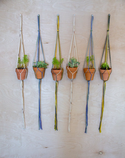 3 Piece Plant Hanger / Plant Hanger / Succulent Holder / Airplant Holder / Small Plant Hanger / Small Plant Holder / Hanging Plant / Planter