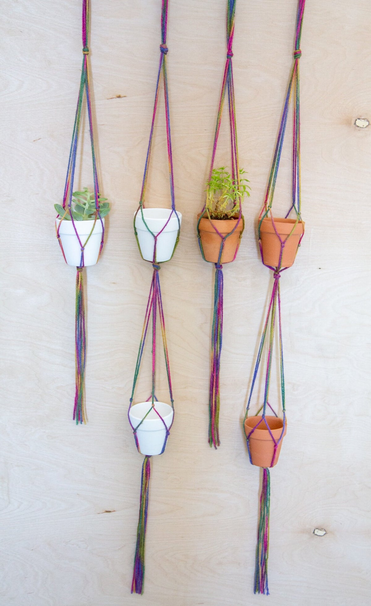 Rainbow Plant Hangers — Set of Two