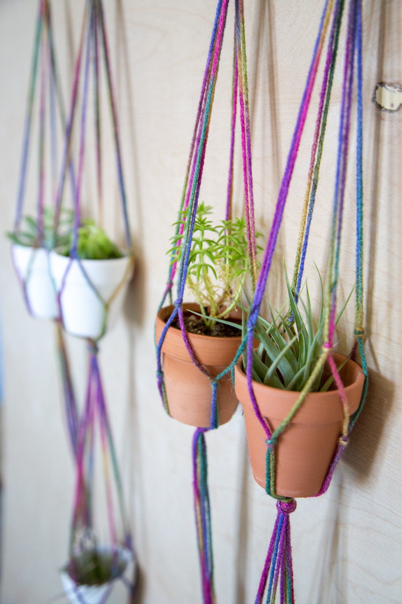 2 Piece Plant Hanger