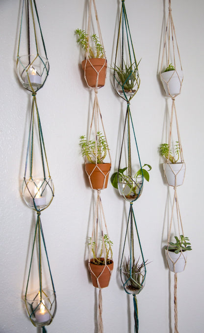 Triple Plant Hanger