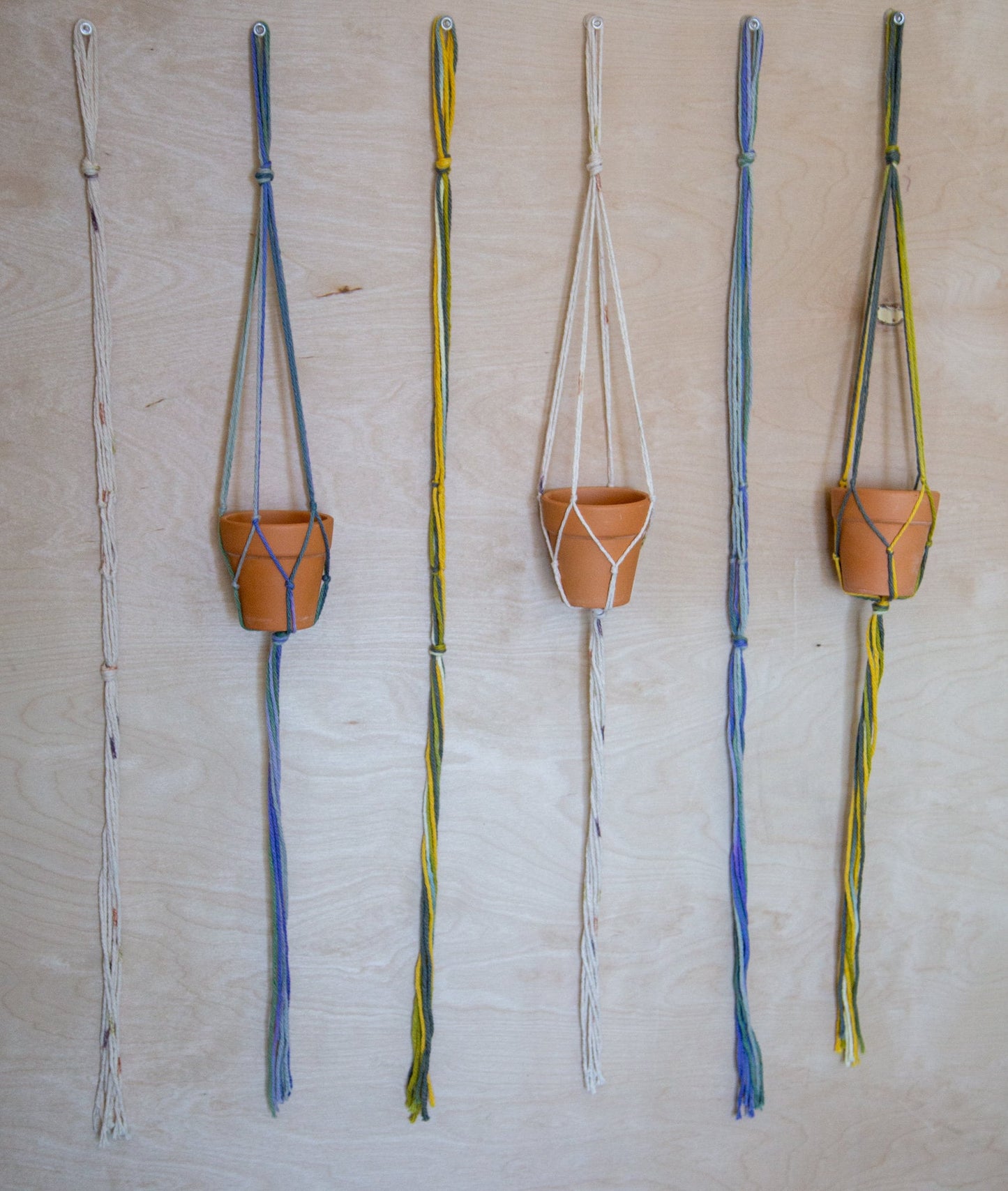 3 Piece Plant Hanger
