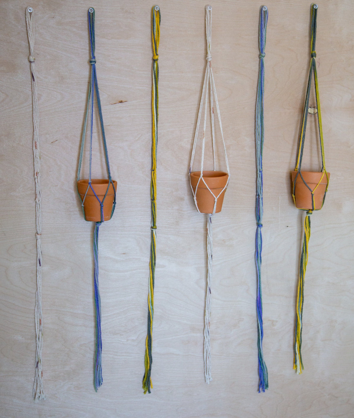 Plant Hangers — Set of Three