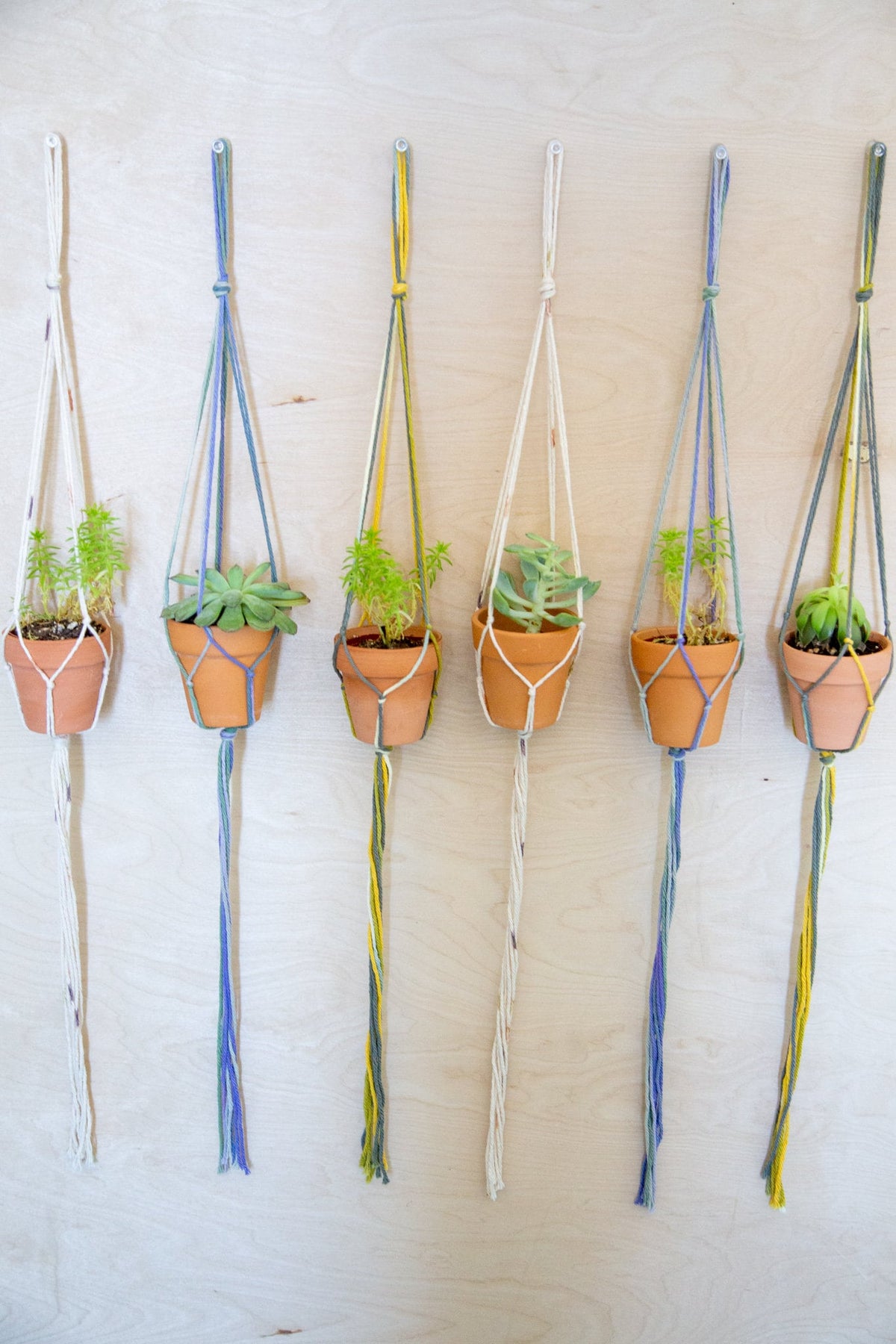 3 Piece Plant Hanger