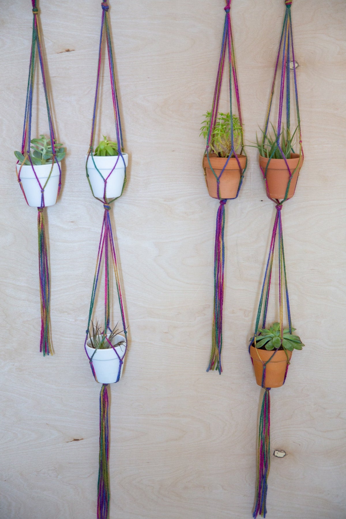 Rainbow Plant Hangers — Set of Two