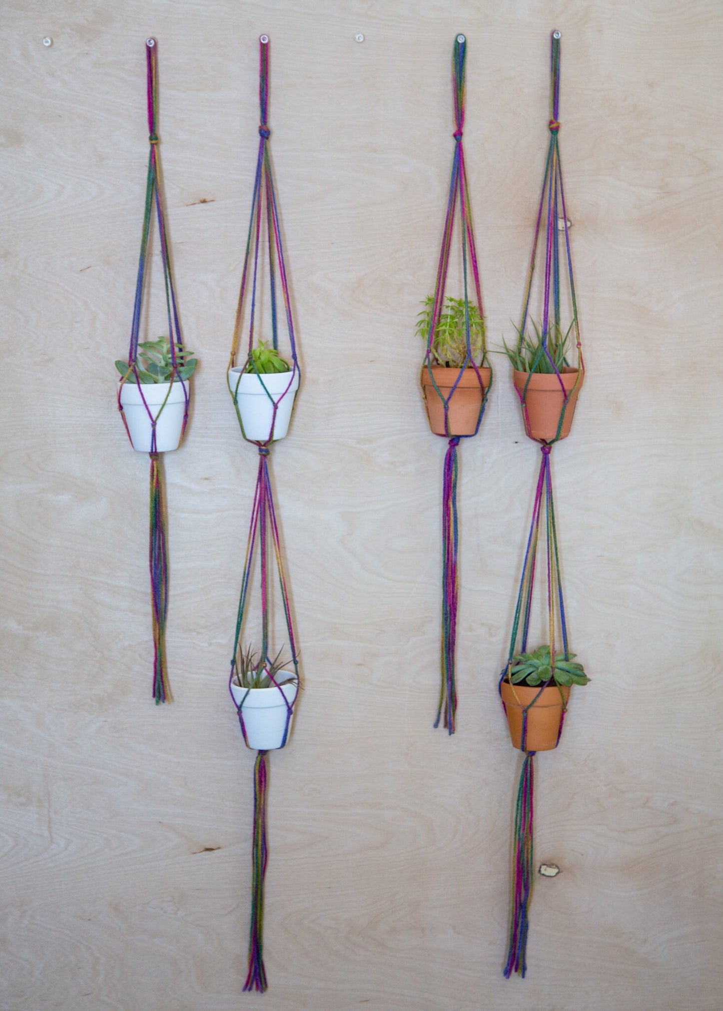 2 Piece Plant Hanger