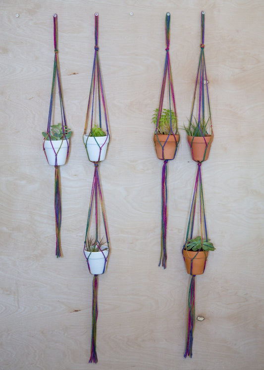 2 Piece Plant Hanger / Rainbow Plant Hangers / Succulent Holder / Small Plant Hanger / Tiny Plant Holder / Hanging Planter / Pride Decor