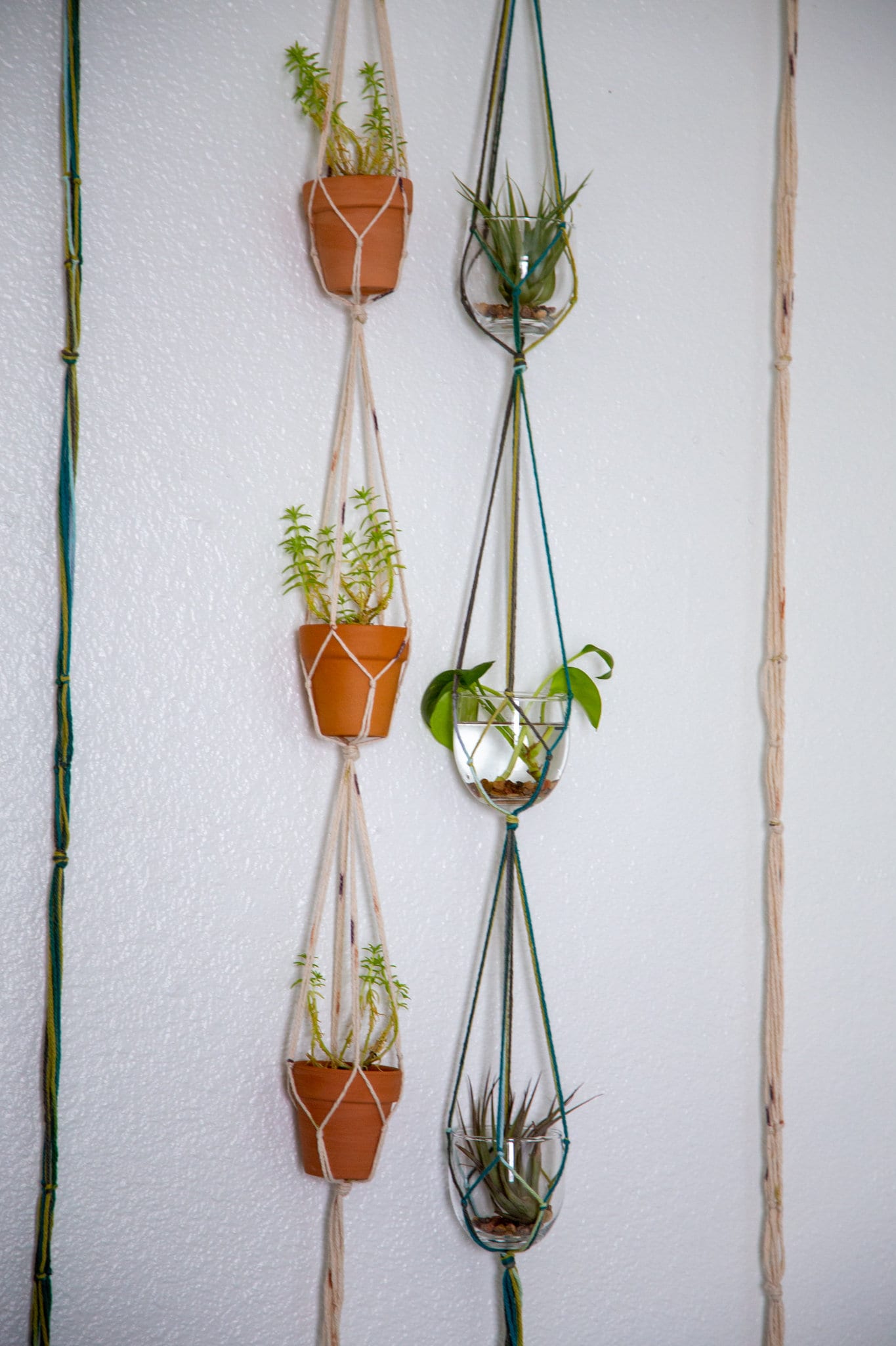 Triple Plant Hanger