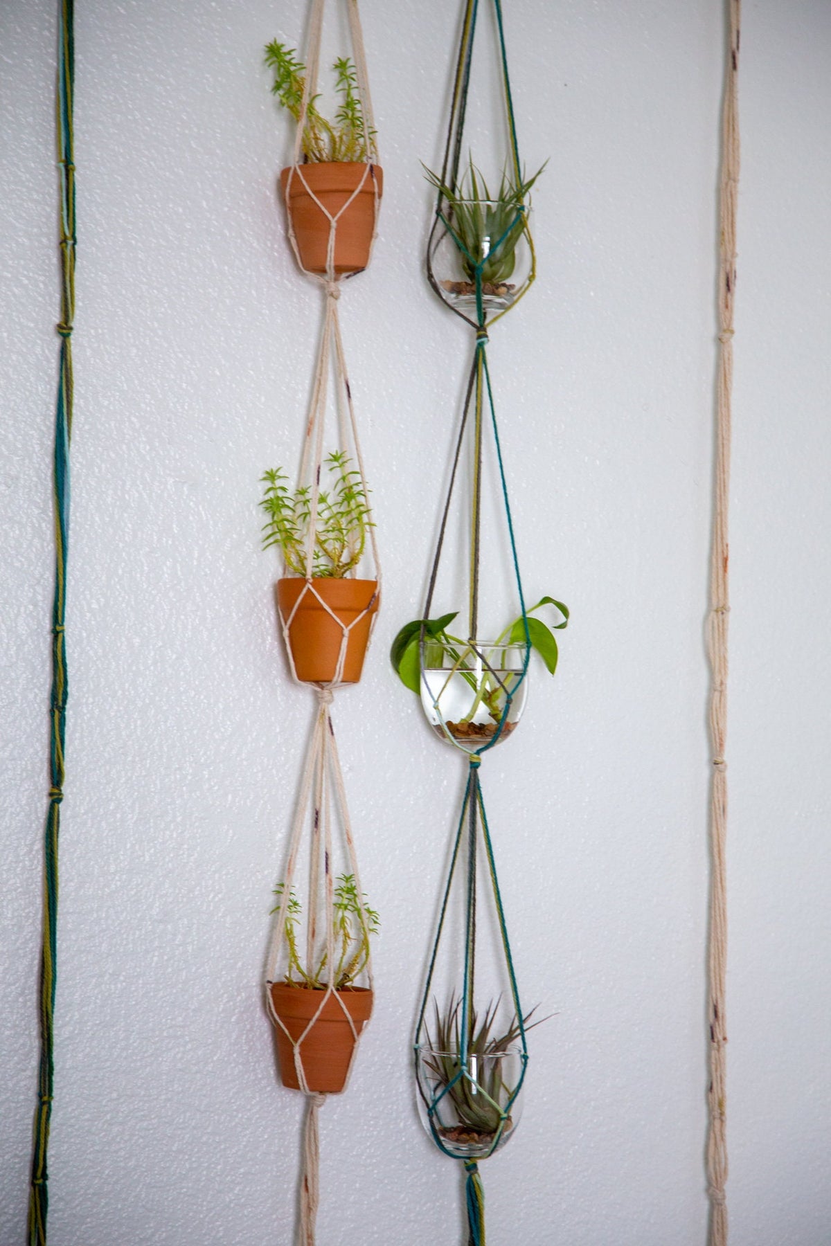Triple Plant Hanger