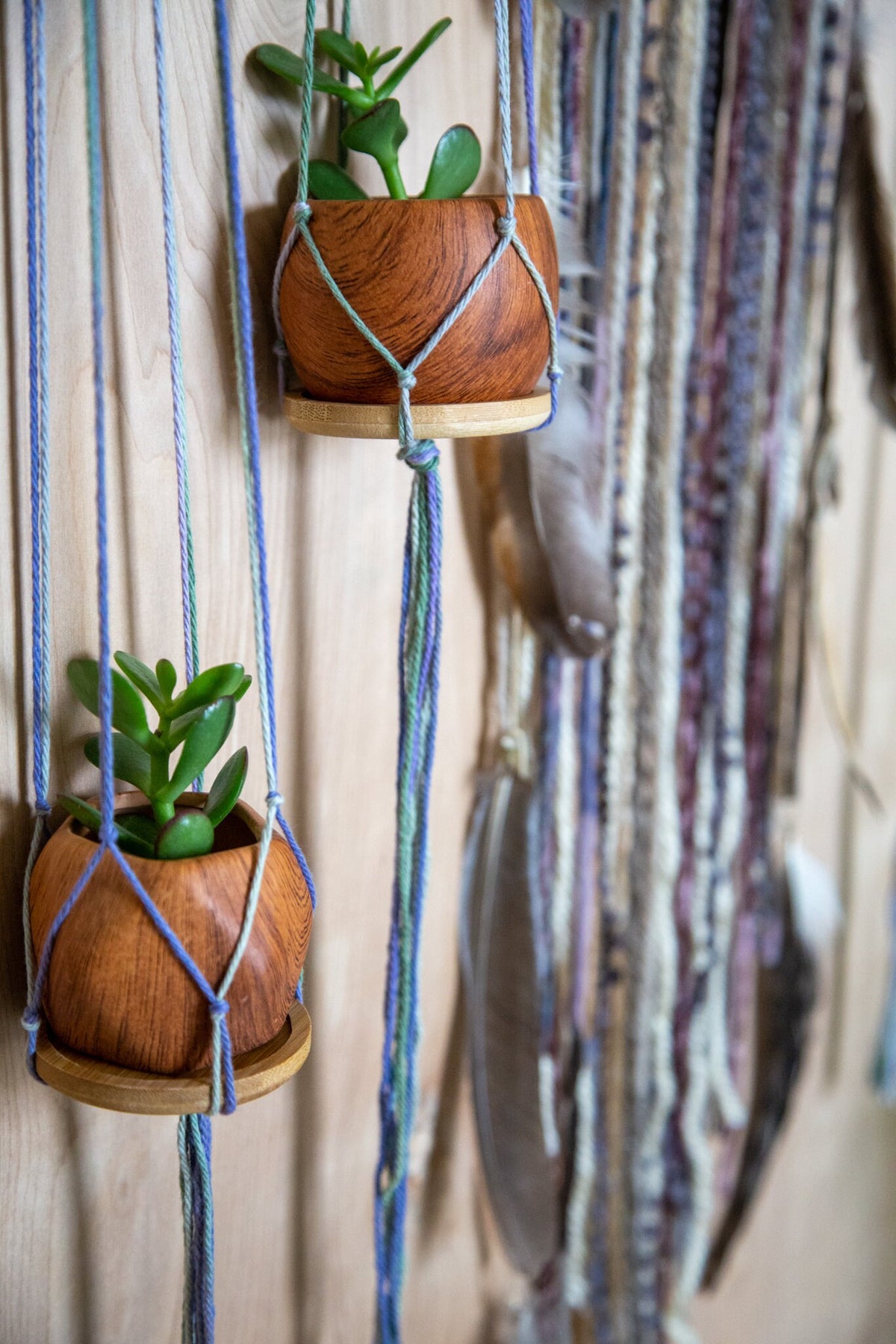 Quartz & Jasper Plant Hanger