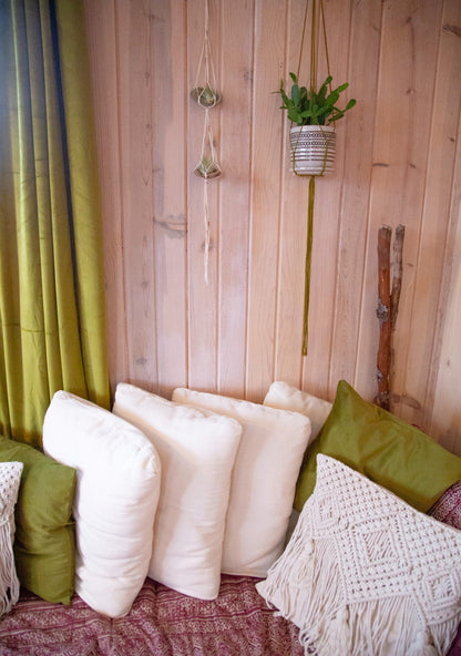 Double Airplant Hanger with Abalone Shells