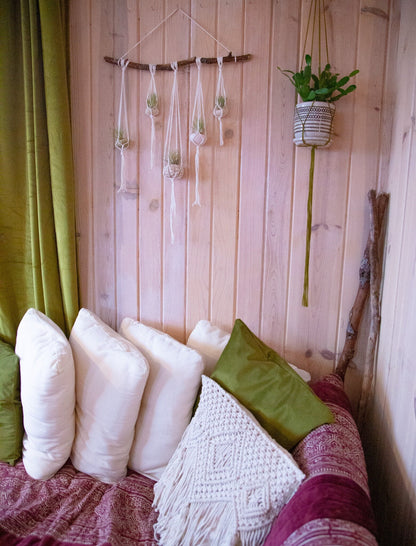 Sea Urchin Shell Wall Decor Hanging