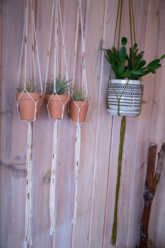 3 Piece Plant Hangers / Multiple Plant Hangers / Succulent Holder / Airplant Holder