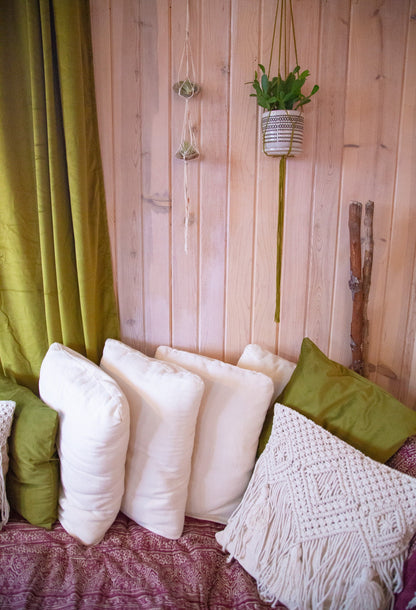 Double Airplant Hanger with Abalone Shells