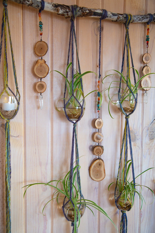 carnelian quartz crystal & turquoise gemstone, wood slice, 6 plant hanger wall hanging / earthy home decor / hanging planter candle holder