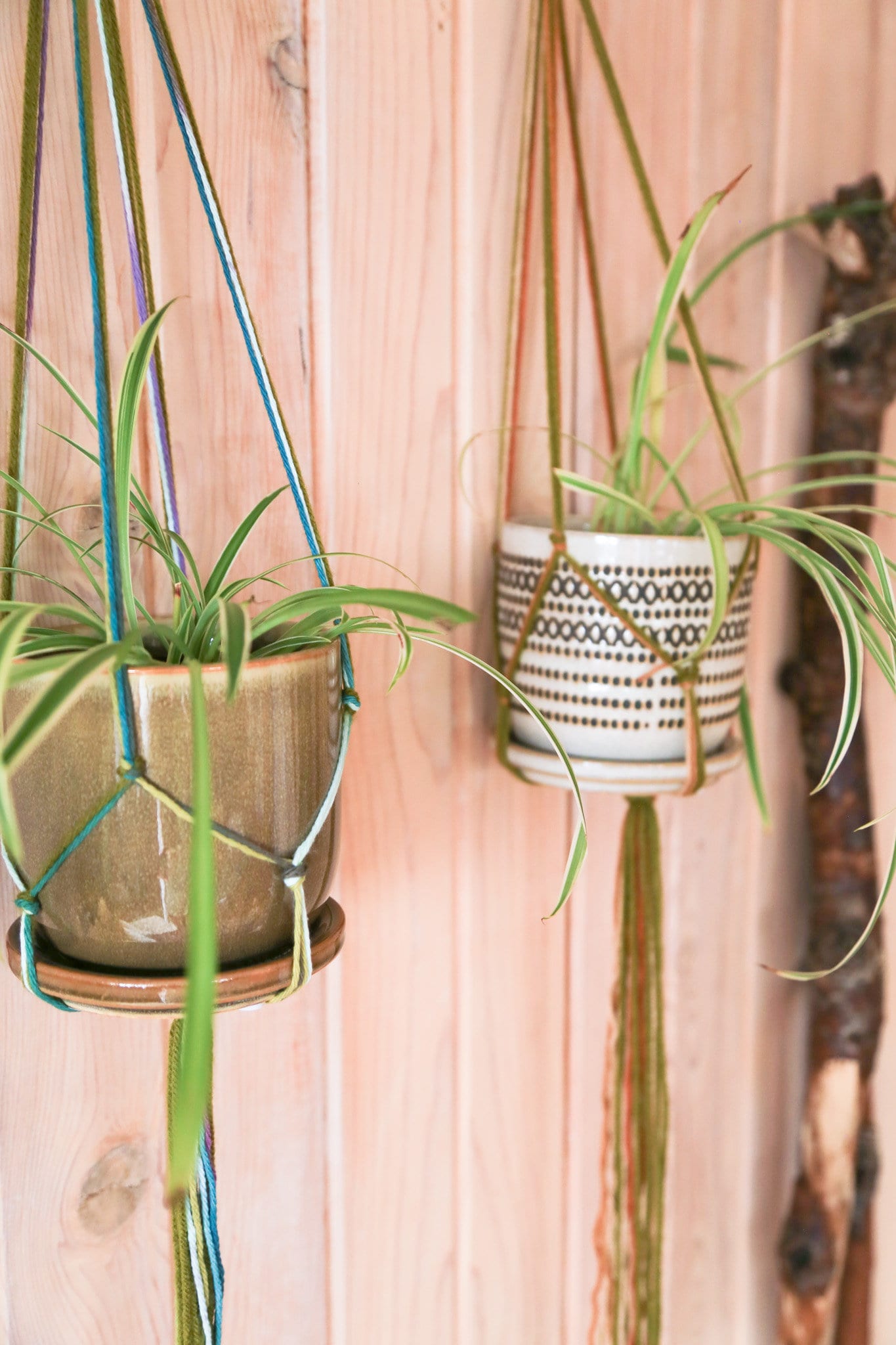 2 piece plant hangers for 4 to 5 inch pots | moss green