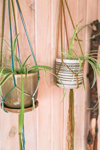 2 piece plant hangers for 4 to 5 inch pots | moss green