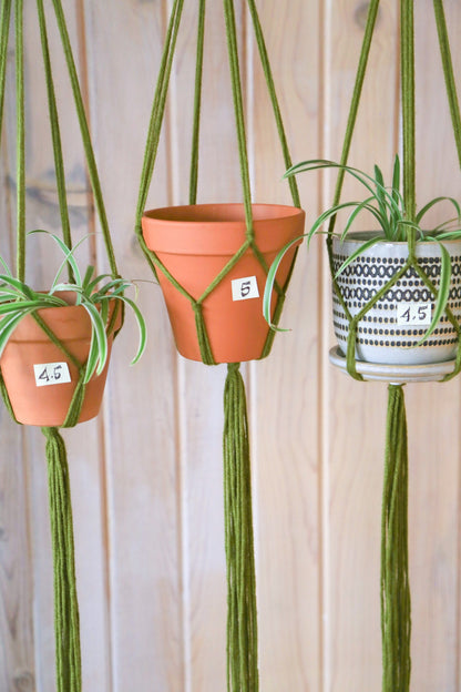 pick a size and quantity plant hanger