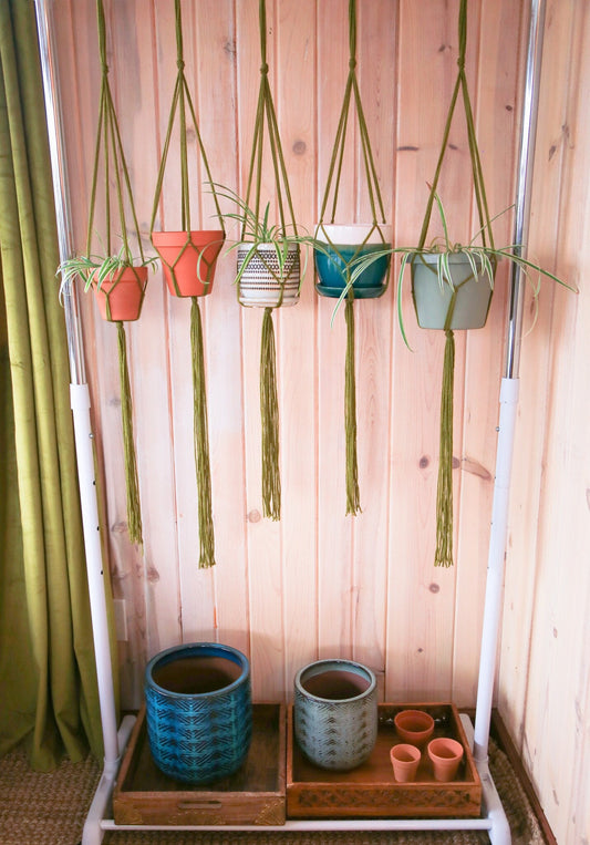 pick a size and quantity plant hanger