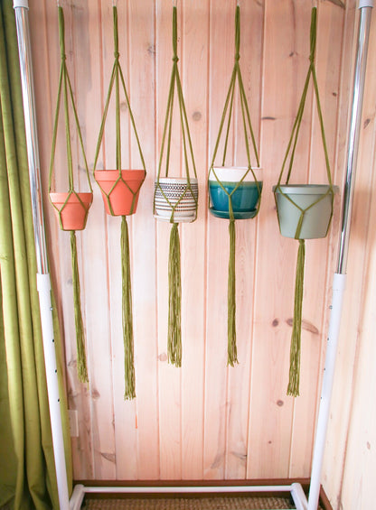 pick a size and quantity plant hanger