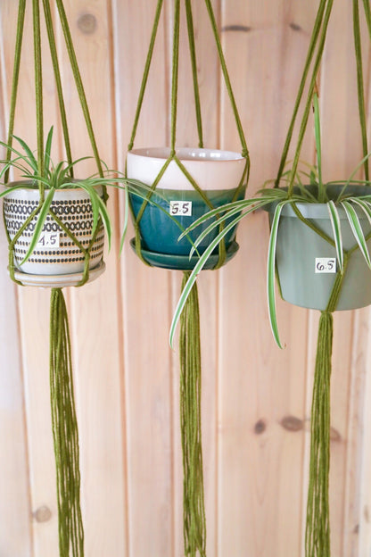 pick a size and quantity plant hanger