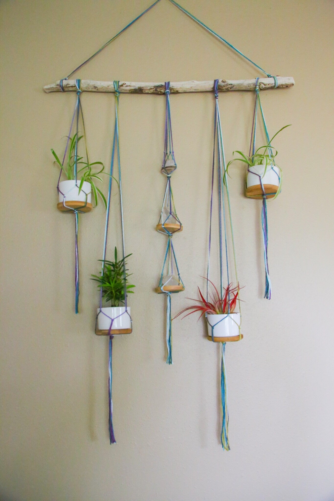 Large Driftwood Quartz Crystal 4 pot hanging planter