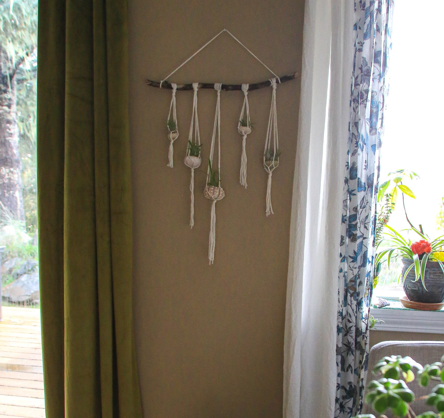 Sea Urchin Shell Wall Decor Hanging