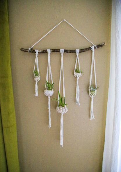 Sea Urchin Shell Wall Decor Hanging