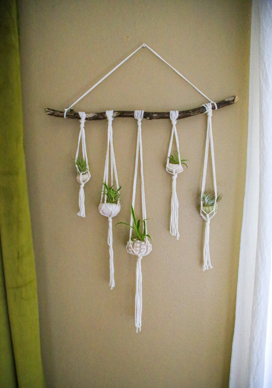 Sea Urchin Shell Wall Decor Hanging / Organic Feel Wall Hanging / Hanging Planter / Airplant Accessory / Airplant Hanger