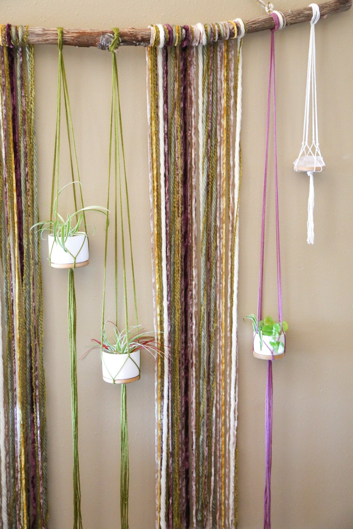 XXL Quartz Driftwood Plant Hanger