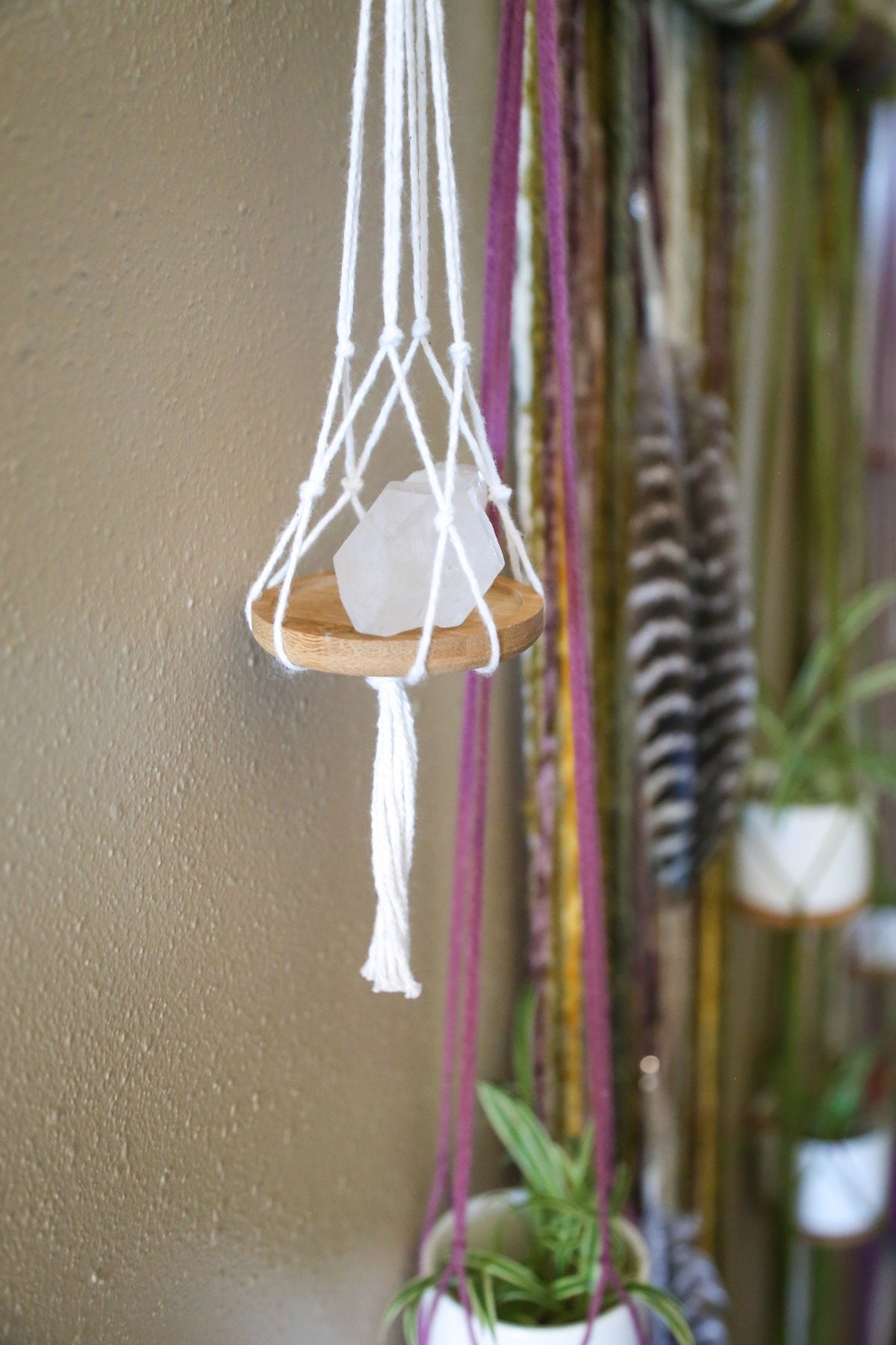 XXL Quartz Driftwood Plant Hanger