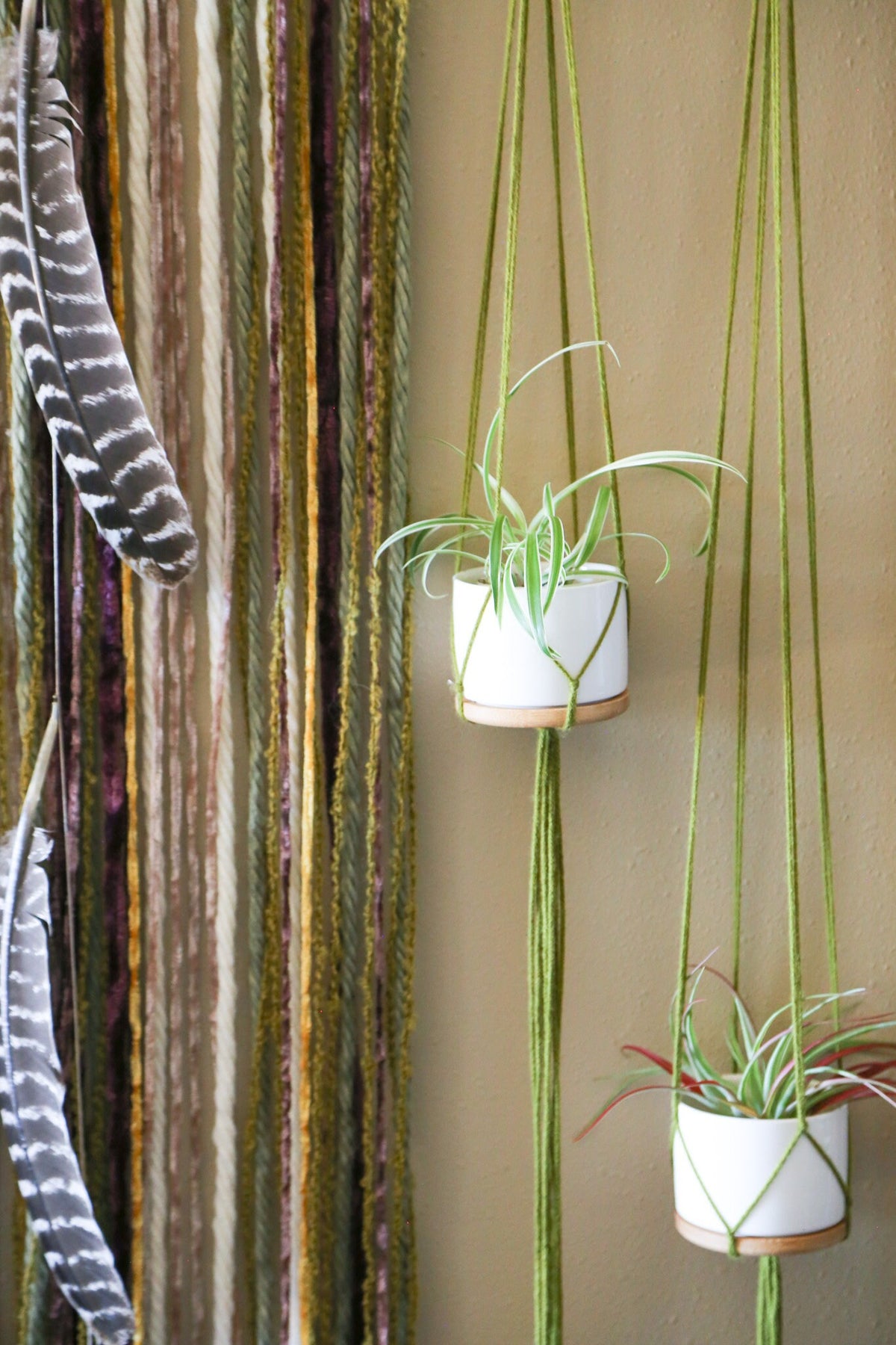 XXL Quartz Driftwood Plant Hanger